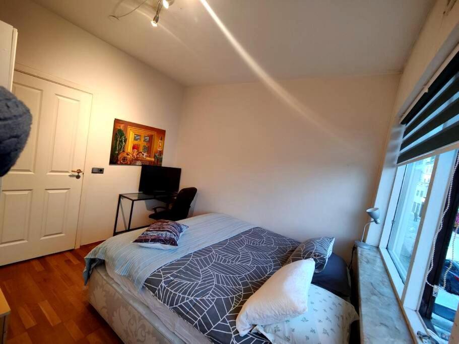 Spacious 7pp In Heart Of Rvk, Quiet Apartment Reykjavik