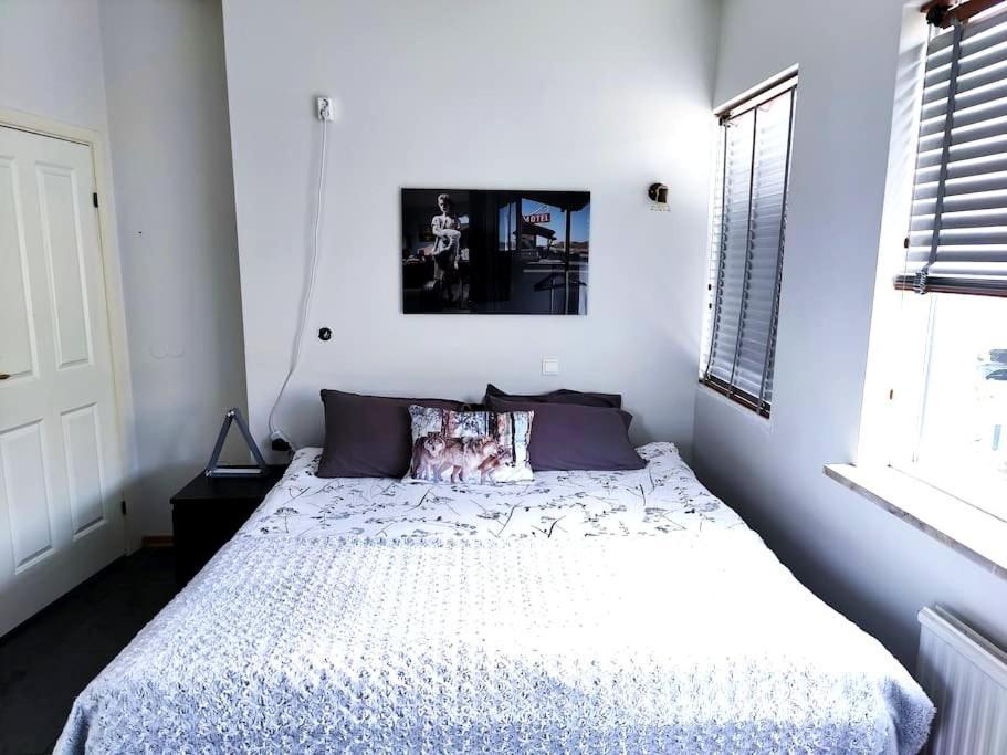 Spacious 7pp In Heart Of Rvk, Quiet *