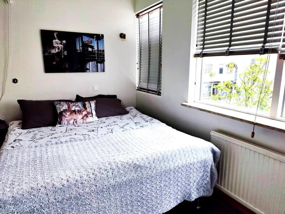 Apartment Spacious 7pp In Heart Of Rvk, Quiet *