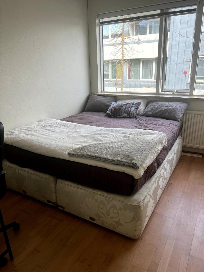 Spacious 7pp In Heart Of Rvk, Quiet * Reykjavik